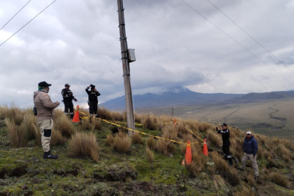 Cóndor juvenil fue hallado muerte en el parque Antisana.