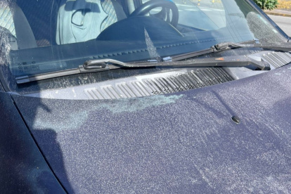 La capa de ceniza del volcán Reventador cubrió vehículos y viviendas del sector Reventador, en la provincia de Sucumbíos.