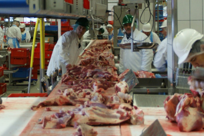 El Concejo Municipal de Guayaquil debatirá este 3 de diciembre la creación de Camalquil EP.