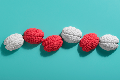 Neurociencia identifica 5 etapas cerebrales. No es un declive lineal