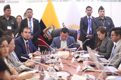 La Comisión de Fiscalización revisó el trámite que habilitó a Álvaro Rosero para un cargo público