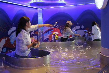 Yaku, MIC, Museo de la Ciudad y Carmen Alto recibirán visitantes con actividades especiales.