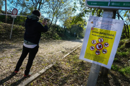 Uno de los accesos al Parque Natural de Collserola alertando de la presencia de la peste porcina.