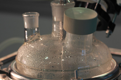 Un estudio de la UTEG demuestra que un reactor biológico secuencial puede reducir hasta en 87 % la carga contaminante de los efluentes porcinos