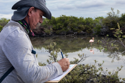Un guardaparque realiza el conteo de flamingos en una de las lagunas de Galápagos durante el censo 2025, que confirmó la estabilidad de esta especie emblemática.