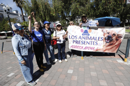 Colectivos realizron un plantón este 9 de diciembre en la Plaza Grande.
