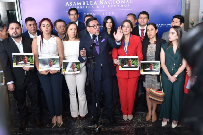 El bloque oficialista de ADN anunció que impulsará la Ley de Repetición tras decisión sobre el caso Chevron.