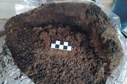 Pompeya revela que los esclavos podían alimentarse mejor que muchos ciudadanos libres.