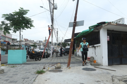Varios árboles ubicados en la calle Guayacanes, en Urdesa, están situados en el interior de maceteros.