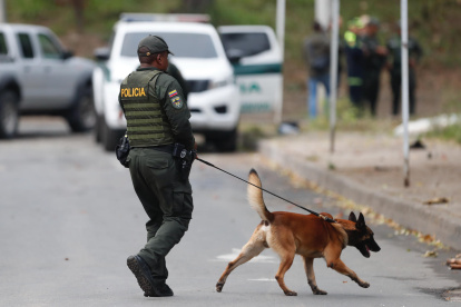 Un policía inspecciona con un perro en el lugar donde un artefacto explosivo acabó con la vida de dos policías este martes, en Cali (Colombia).
