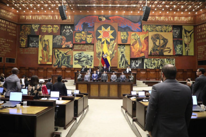 La Asamblea Nacional no conoció el informe para primer debate del proyecto de Ley Orgánica de Repetición.