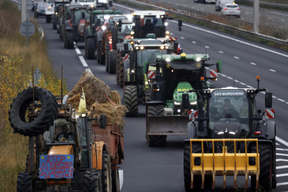 Protesta de agricultores y ganaderos con tractores en la autopista A9, en medio de la creciente preocupación por los brotes de dermatosis nodular contagiosa en Francia.