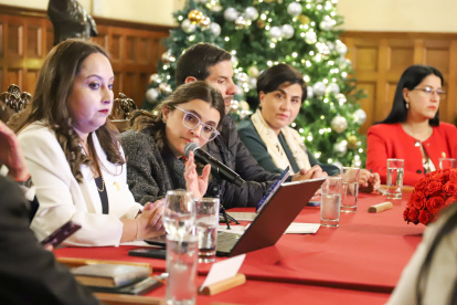El COE Nacional sesionó para establecer las directrices de vigilancia y control frente a la presencia de la influenza estacional.
