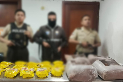 En el interior de los bultos había fundas etiquetadas como café.