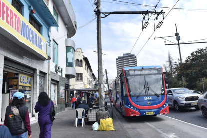 Unos 20 millones de viajes están por completar los 60 nuevos troles, cuyo mecanismo de compra ha generado controversia.