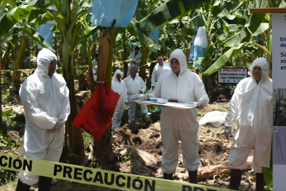 Los protocolos de bioseguridad que se llevan en la zona donde hay Fusarium Raza 4 Tropical, un ensayo antes de que llegue el hongo.