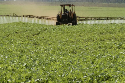 Tierra. Entre 1870 y 1910 se instauró localmente un modelo latifundista que concentró la tierra en grandes enclaves, con mirada agroexportadora.