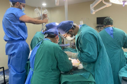 La propuesta de Ley Orgánica de Reproducción Humana Asistida nació en la Corte Constitucional.