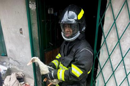 Bomberos de Quito controlaron un incendio estructural en Conocoto que destruyó un criadero de animales de corral.