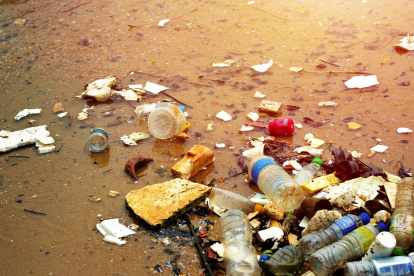 Provincias como Guayas, Manabí, Esmeraldas y El Oro concentran hotspots críticos donde el plástico amenaza especies, pesca artesanal y economías locales.