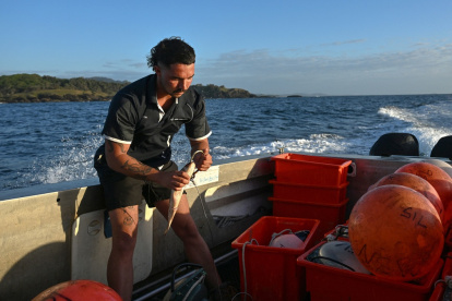 This picture taken on November 10, 2025 shows Charlie Kerr, a member of the shark monitoring program, preparing smart drumlines equipped with baited hooks to be deployed at popular coastal spots in waters up to 15 meters (50 feet) deep near Coffs Harbour, New South Wales. Sensible people might prefer to flee at torpedo speed from a great white shark, but there"s one job in Australia that pays you to race towards the predators. And when you reach the big fish, you have to fix a tracker to its dorsal fin while bobbing in a boat on the ocean swell. The job is key to a sophisticated protection network that lets swimmers, surfers and fishers check for the aquatic hunters in real time when they venture into the water. (Photo by Saeed KHAN / AFP) / TO GO WITH "AUSTRALIA-ENVIRONMENT-SHARKS, REPORTAGE" BY LAURA CHUNG