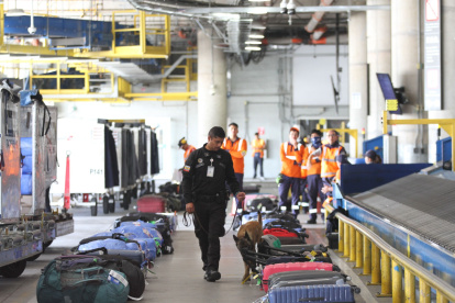 En el Aeropuerto Internacional Mariscal Sucre se realizan controles con perros especializados tanto en narcóticos como en temas aduaneros. (Foto referencial)