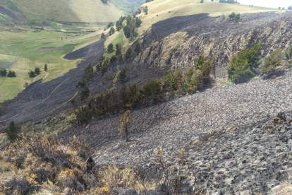 Luego de tres horas, el siniestro que se registró, a las 09:30, en  el Parque Nacional Llanganates, ubicado en la provincia de Cotopaxi, fue controlado.
