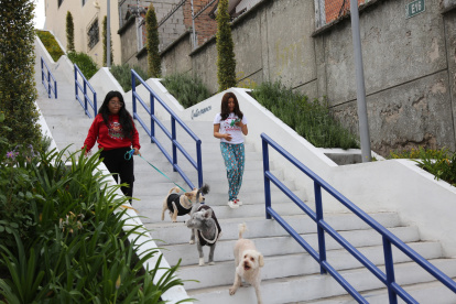 Gestión. Las escalinatas del barrio Las Orquídeas fueron solicitadas y ejecutadas mediante presupuestos participativos.