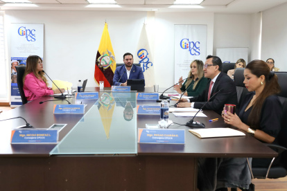 El Consejo de Participación Ciudadana es el organizador de los concursos de selección de autoridades.