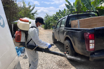 Los controles se mantienen estrictos en el sector El Quemado, donde se detectó el hongo del Fusarium.