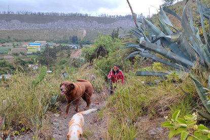 Protagonistas. Los canes Tony y Gaya, los “nietos de cuatro patas”, inspiraron el libro que Wilson Pinto.