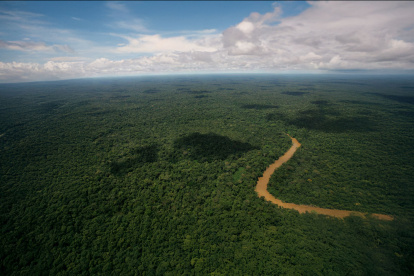Sostenible. Las iniciativas estarán orientadas a la conservación.