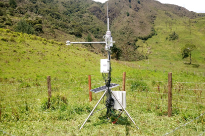 La UTPL fue seleccionada para usar AlphaEarth, una IA que analiza ecosistemas con datos satelitales y mediciones directas para entender cómo el cambio climático altera la captura de carbono en el país.