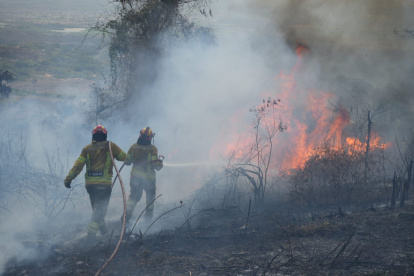El incendio forestal ocurrió durante una jornada de intenso calor en Guayaquil, con temperaturas de hasta 33 grados centígrados.