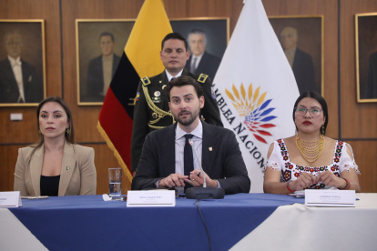 El presidente de la Asamblea Nacional, el oficialista Niels Olsen.