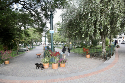 En el parque central de Puembo se han sembrado 7.000 geranios.
