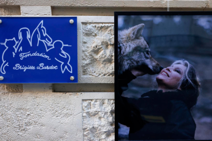 La Fundación Brigitte Bardot, legado de una estrella que dedicó su vida a proteger a los animales.