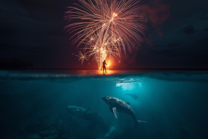 Representación del uso de fuegos artificiales y la vida marina.