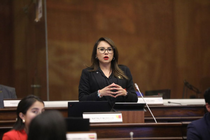 La ministra de Gobierno, Nataly Morillo, negó que el régimen haya pactado con el presidente de la Judicatura, Mario Godoy, quien deberá comparecer en la Asamblea por supuestas presiones a jueces.