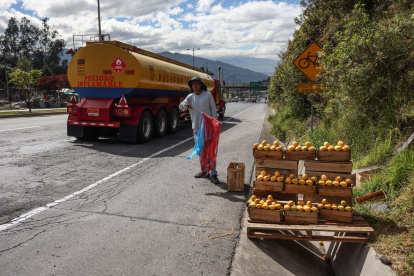 Puestos improvisados atraen compradores que se detienen abruptamente en la Ruta Viva, una práctica que autoridades consideran peligrosa y recurrente.