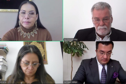 Sesión. A la reunión telemática acudieron Diana Atamaint, Enrique Pita, Elena Nájera y Jorge Cabrera.