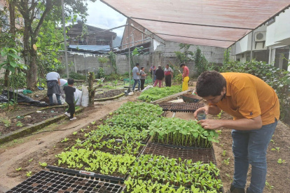 Huertos. El proyecto involucró a más de 200 mil personas.