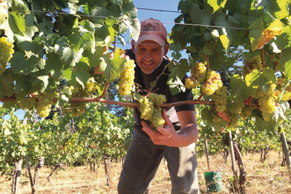 Experiencia. La región vinícola de Willamette, en Oregón (EE.UU), ofrece una experiencia íntima entre viñedos, posadas rurales y productos de granja.