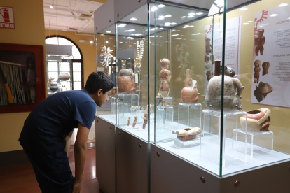 Propuesta. Los museos buscarán en 2026 atraer a las nuevas generaciones a los centros culturales.