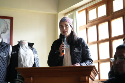 Inés Manzano expuso los proyectos públicos y privados que marcarán la oferta eléctrica en los próximos años.