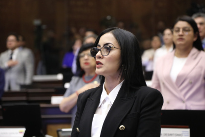 Según Viviana Veloz, Godoy habría insinuado posibles allanamientos y actos urgentes dirigidos a los asambleístas de la RC.