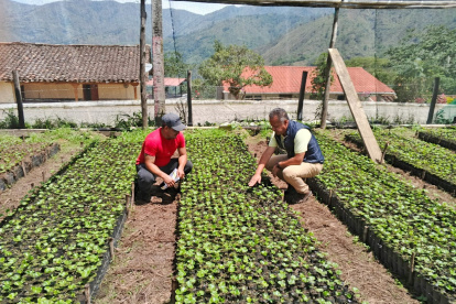 Productores durante una jornada de promoción del grano lojano.