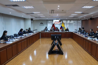 El Pleno de la Corte Nacional de Justicia revisará si José Suing continuará como presidente encargado.