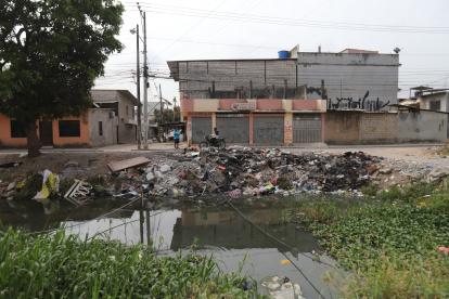 Ecosistema. En los canales naturales de Durán hay basura sobre el agua y en las orillas.
