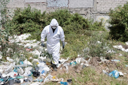 Personal de la Unidad de Bienestar Animal llegó al terreno abandonado en el sector de El Condado.